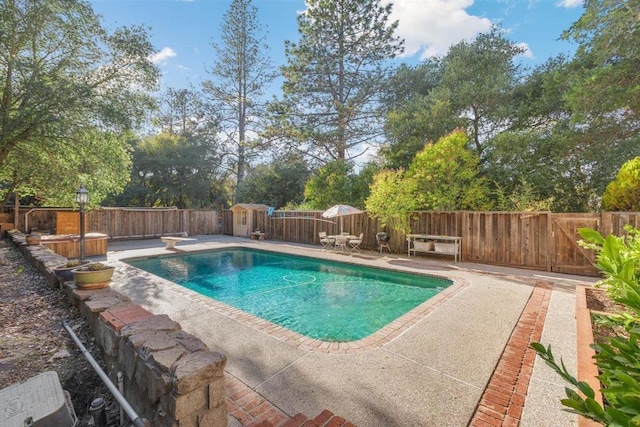 view of swimming pool featuring a patio and a diving board