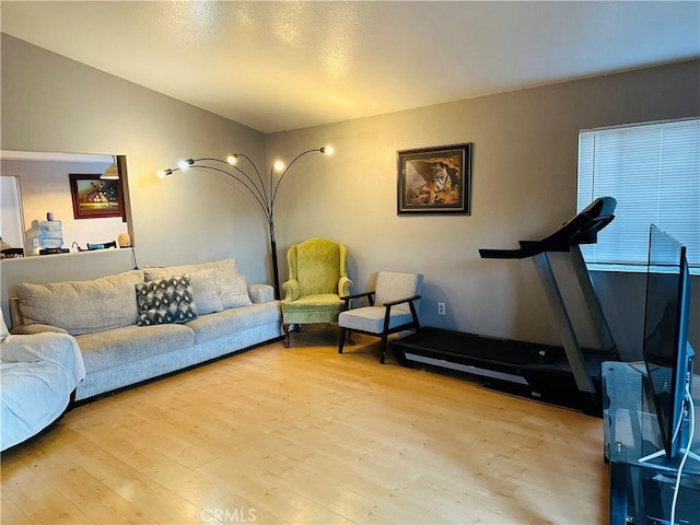 living room featuring light hardwood / wood-style flooring