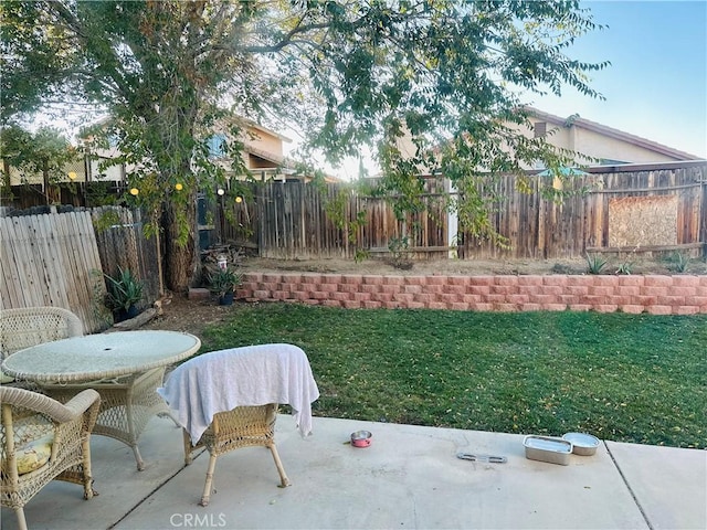 view of yard with a patio