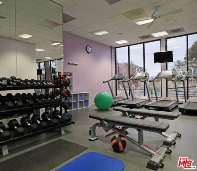 gym featuring a drop ceiling, expansive windows, and a wealth of natural light