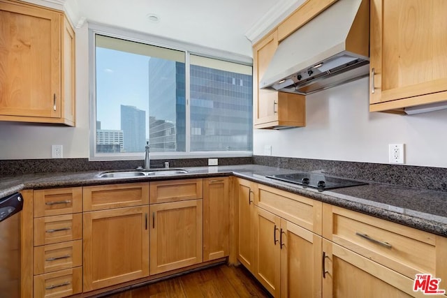 kitchen featuring sink, dishwasher, dark hardwood / wood-style flooring, black cooktop, and exhaust hood