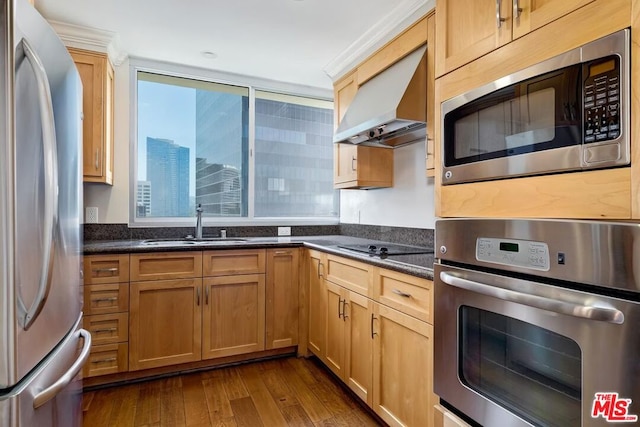 kitchen with wall chimney range hood, sink, dark stone countertops, appliances with stainless steel finishes, and dark hardwood / wood-style flooring