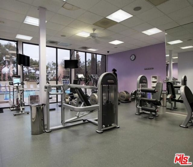 exercise room with a paneled ceiling, floor to ceiling windows, and ceiling fan