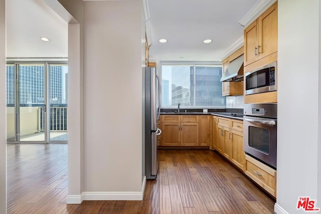 kitchen featuring wall chimney exhaust hood, dark hardwood / wood-style floors, sink, and appliances with stainless steel finishes