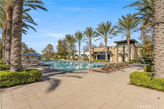 view of pool featuring a patio