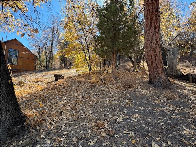 Listing photo 3 for 1203 S Minton Ave, Big Bear City CA 92314