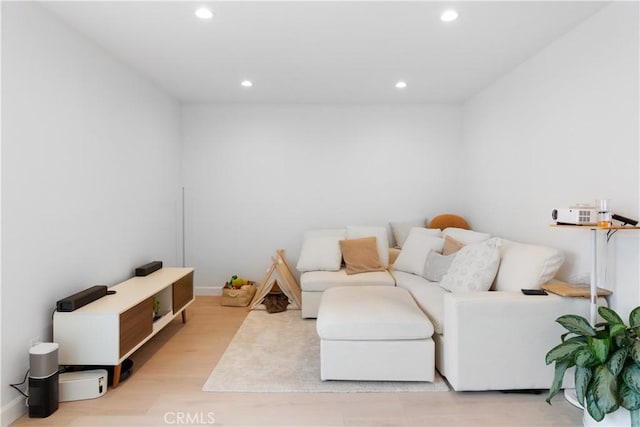 living room featuring light wood-type flooring