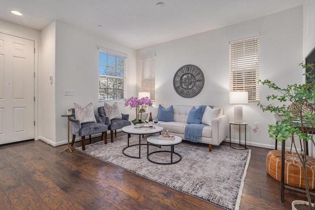 living room with dark hardwood / wood-style floors