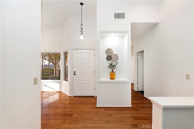 foyer entrance featuring dark wood-type flooring and a high ceiling