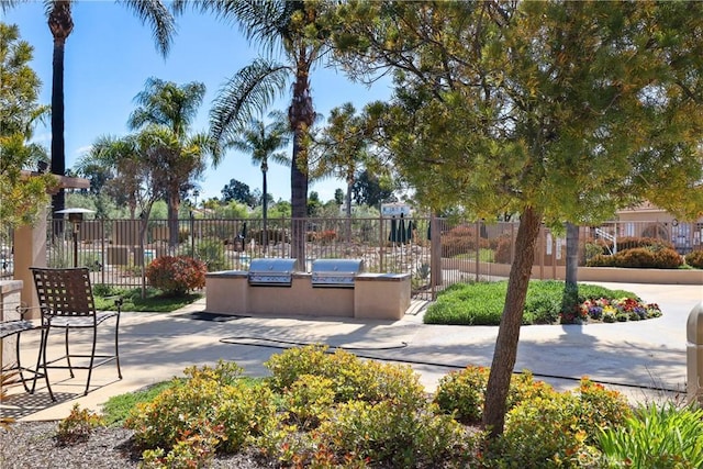 view of home's community with an outdoor kitchen