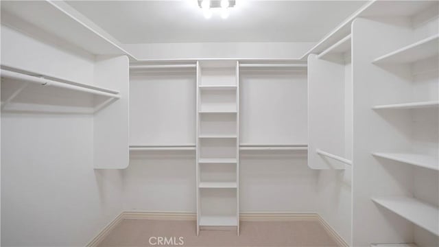 walk in closet featuring light colored carpet