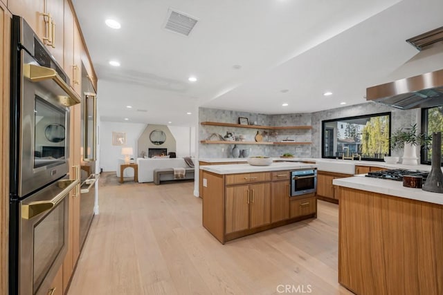 kitchen featuring decorative backsplash, ventilation hood, stainless steel appliances, and light hardwood / wood-style flooring