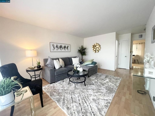 living room with wood-type flooring