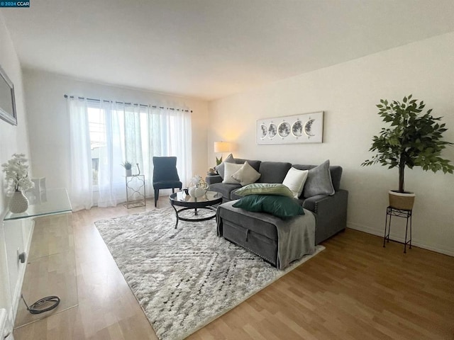 living room with hardwood / wood-style flooring