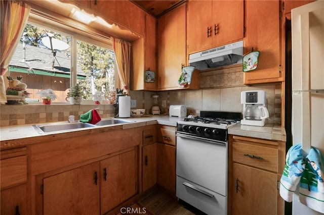 kitchen featuring backsplash, white gas stove, and sink