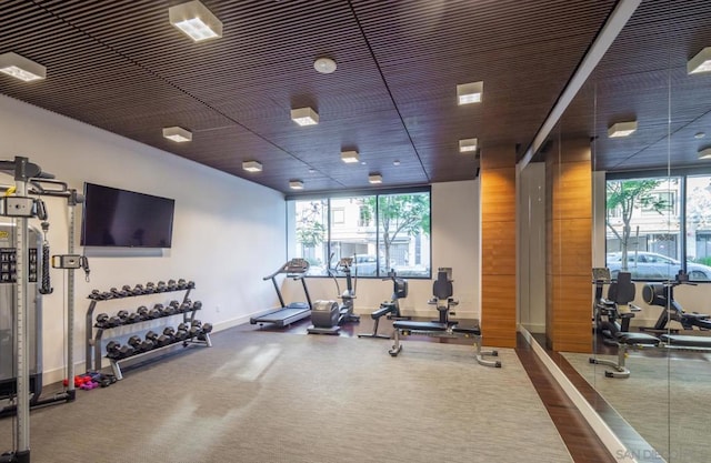 exercise room with a wealth of natural light