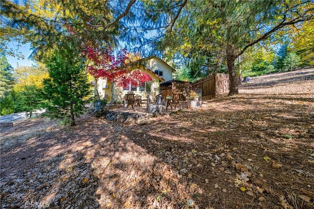 view of yard featuring a patio area