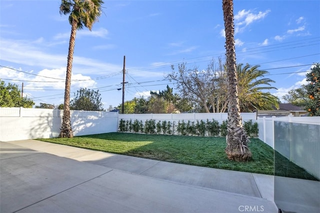 view of yard with a patio area