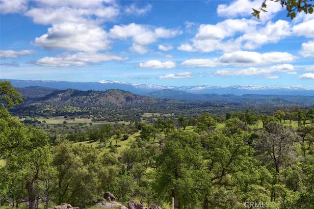 view of mountain feature