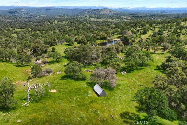 birds eye view of property with a water and mountain view