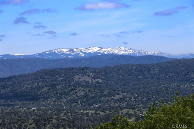 view of mountain feature