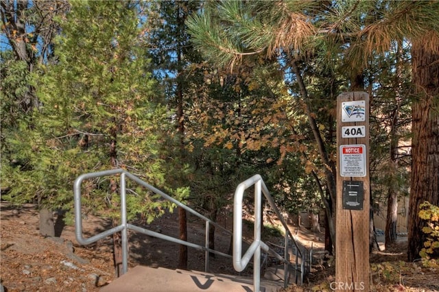 27538 W Shore Rd, Lake Arrowhead, CA 92352 - view of yard