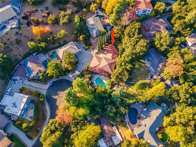 bird's eye view