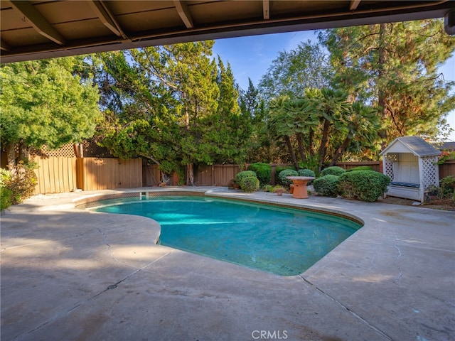 view of pool featuring a patio area