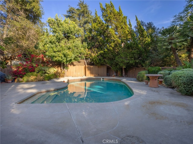 view of pool featuring a patio area