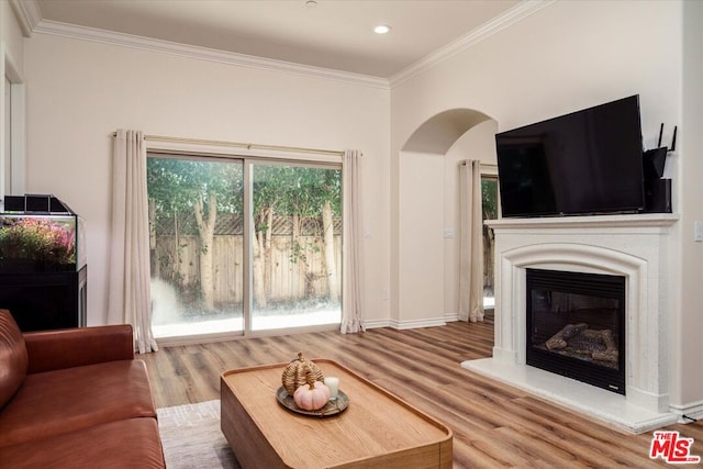 living room featuring wood-type flooring and crown molding