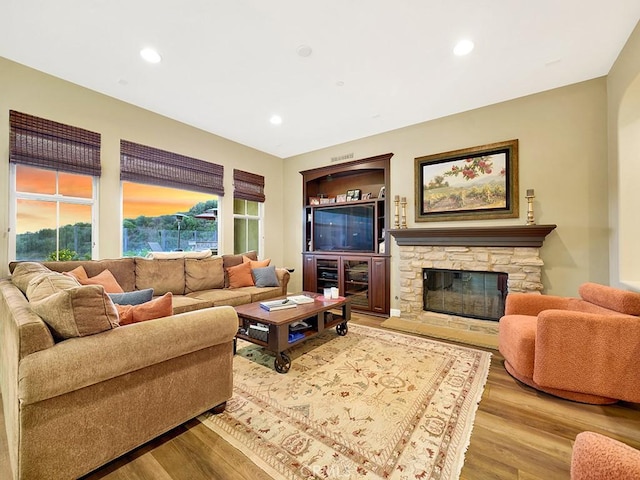 living room featuring a fireplace and light hardwood / wood-style flooring