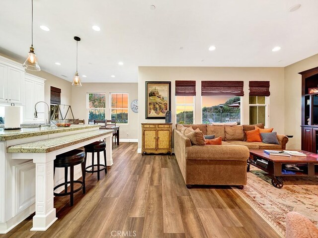 living room with sink and light hardwood / wood-style floors