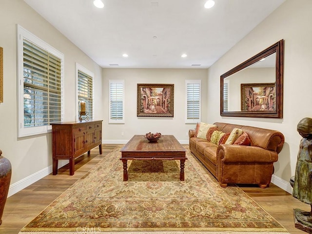 living room featuring light hardwood / wood-style flooring