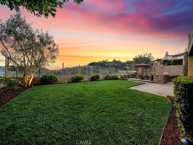 yard at dusk featuring a patio area and an outdoor kitchen