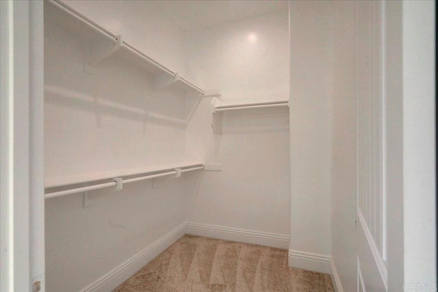 walk in closet with light carpet