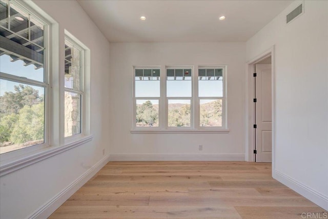 spare room featuring a healthy amount of sunlight and light hardwood / wood-style floors