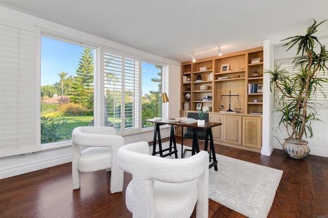 office space with dark hardwood / wood-style flooring and built in shelves