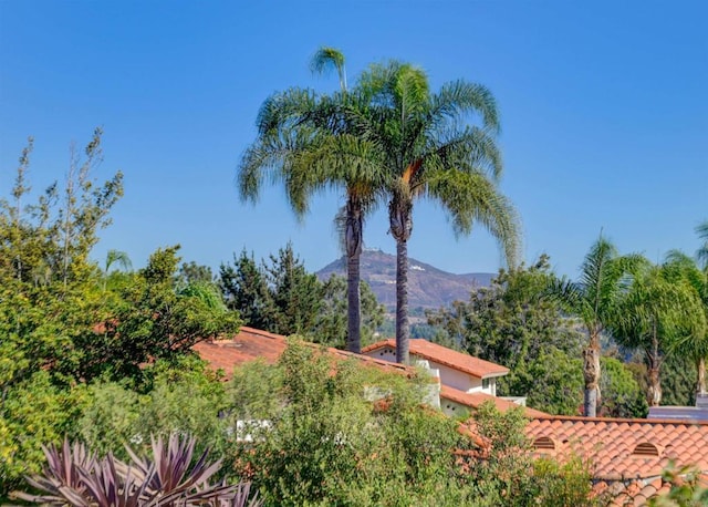 exterior space featuring a mountain view