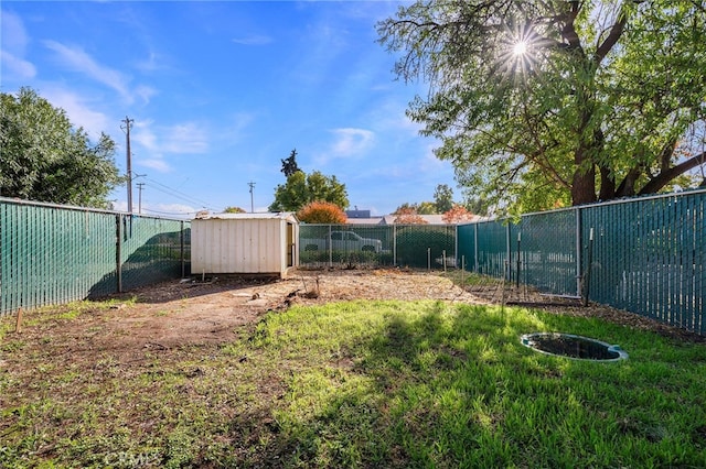 view of yard featuring a storage unit