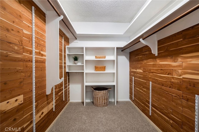 walk in closet with carpet floors