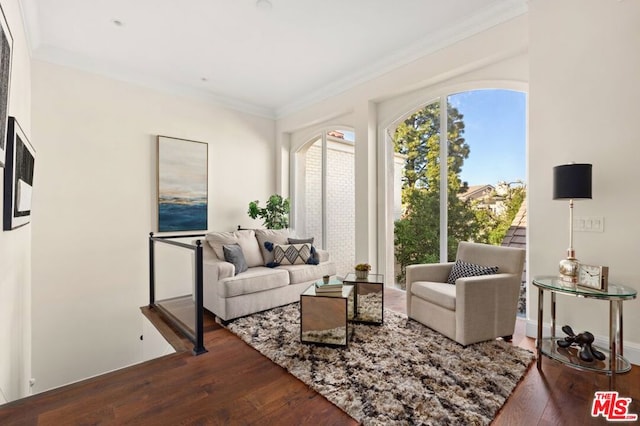 living room featuring hardwood / wood-style floors and ornamental molding