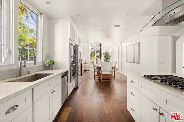 kitchen featuring stainless steel appliances, white cabinetry, dark hardwood / wood-style floors, and sink