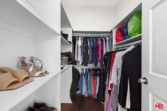 spacious closet featuring wood-type flooring