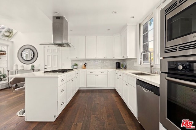 kitchen with dark wood-type flooring, ventilation hood, white cabinets, sink, and stainless steel appliances