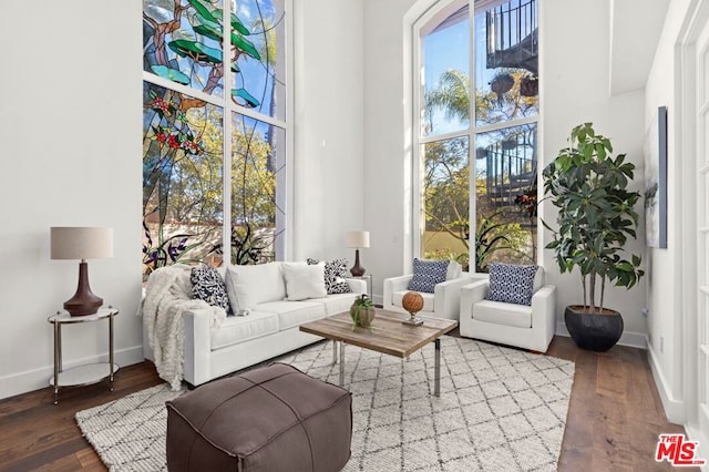 sitting room featuring wood-type flooring