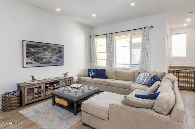 living room with a healthy amount of sunlight and light hardwood / wood-style floors