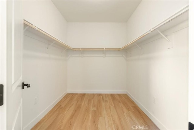 spacious closet featuring light wood-style flooring