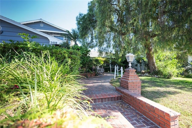 view of yard featuring a patio