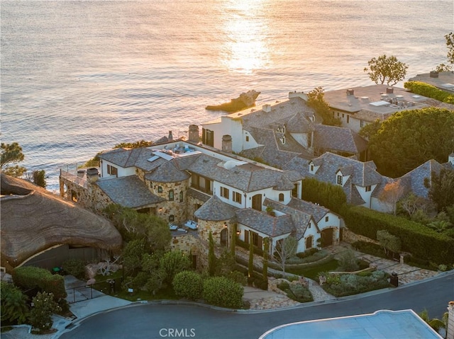 aerial view with a water view