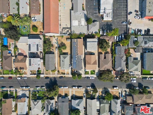 bird's eye view